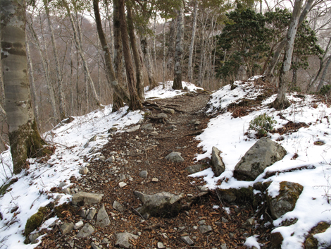 20160218hike (122)